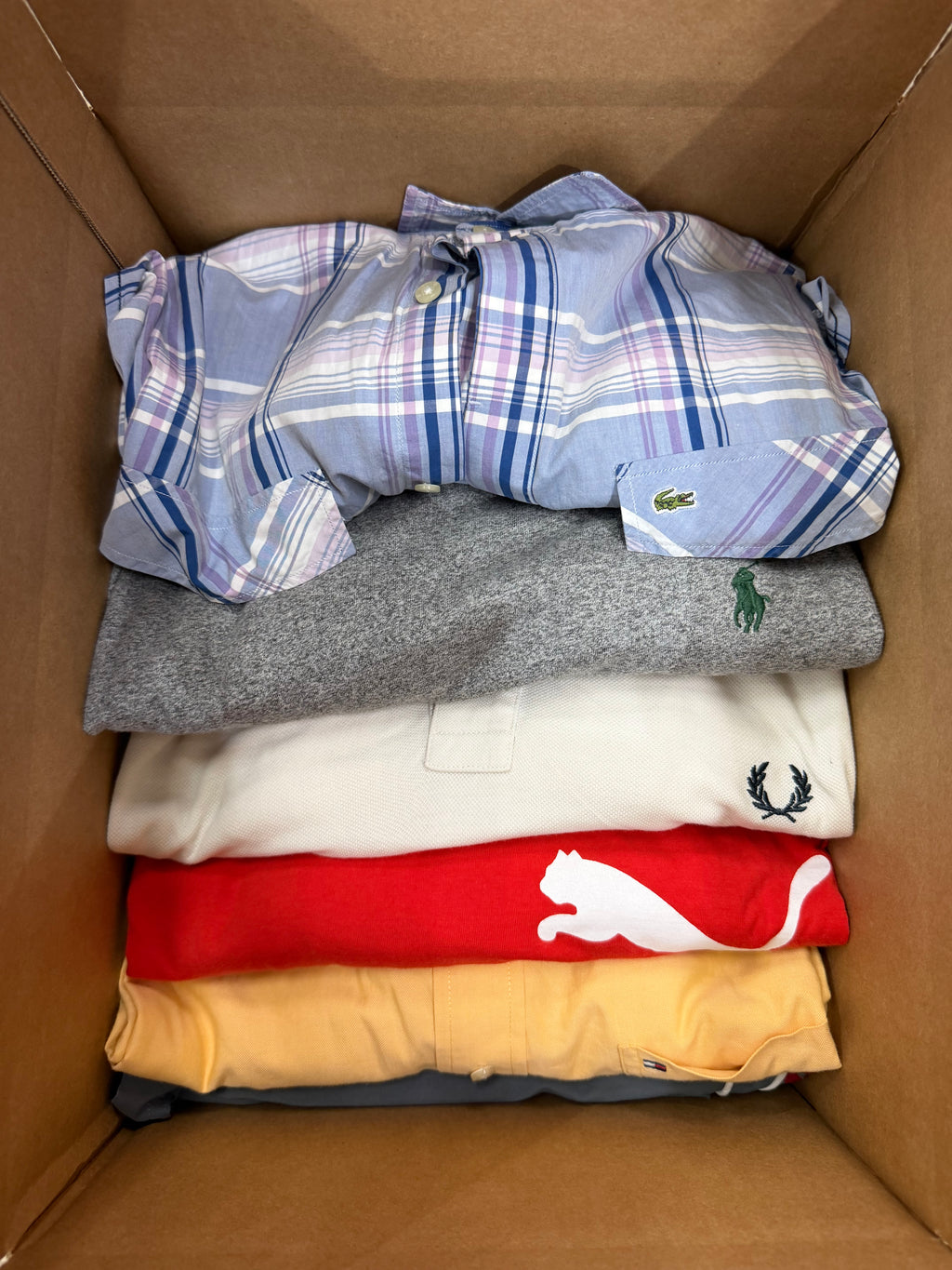 BOX ECONOMY N.15